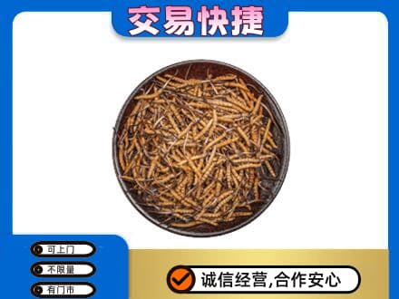 灌阳县高价回收散虫草