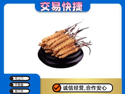 灌阳县礼品回收散虫草.jpg